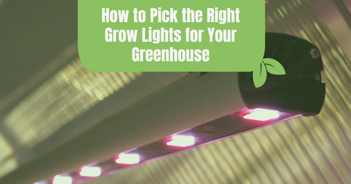 Grow light inside a greenhouse with the text: How to Pick the Right Grow Lights for Your Greenhouse