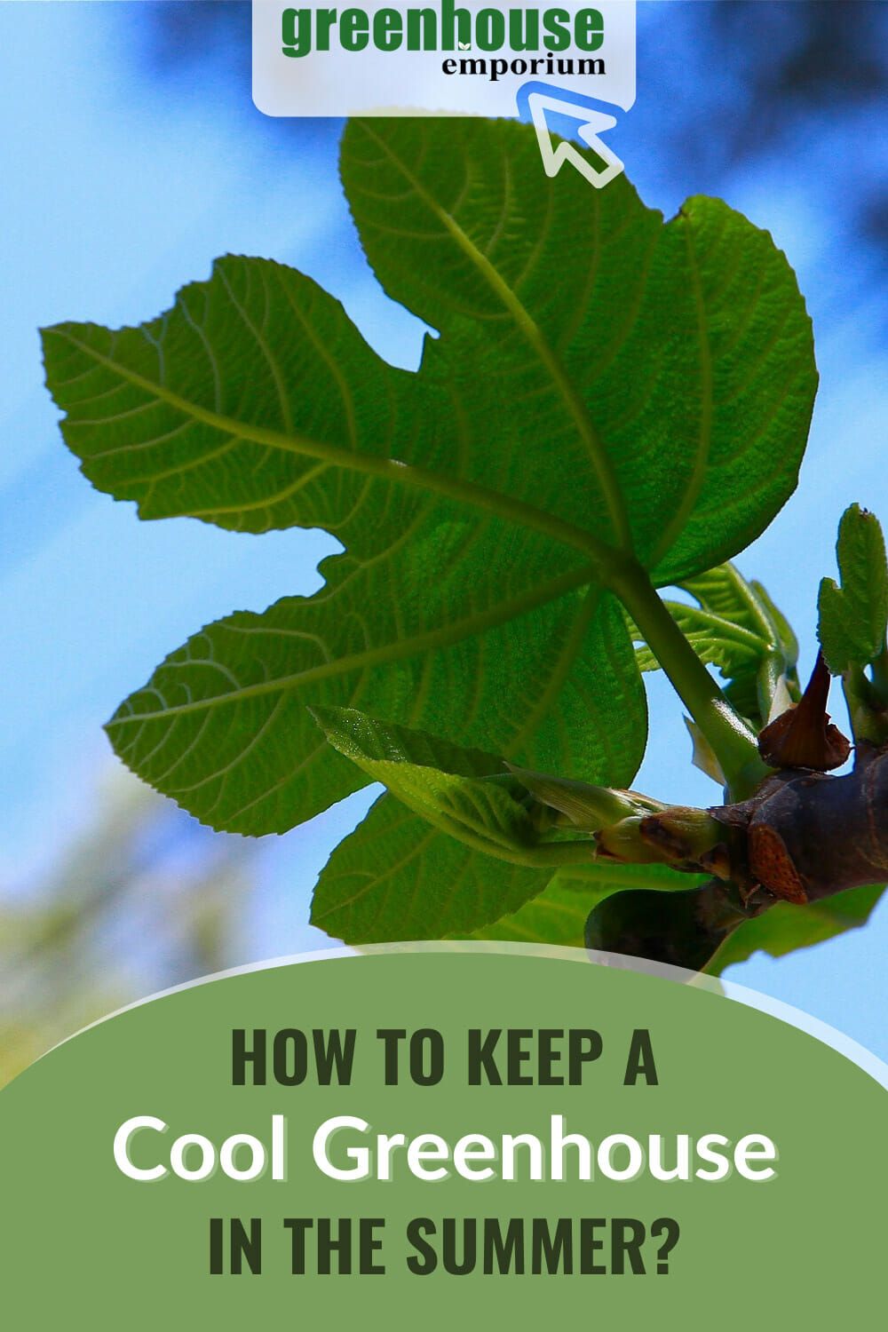 10 Ways To Keep Your Greenhouse Cool In Summer Greenhouse Emporium