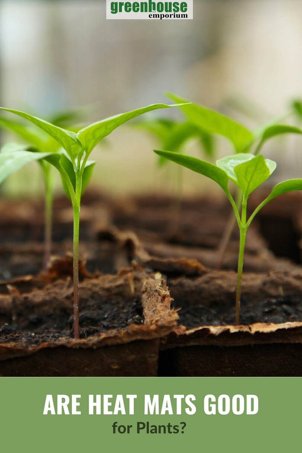 Seedling Heat Mats to Start Seeds Indoors