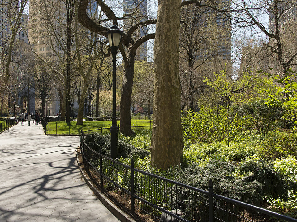 Central Park in the middle of New York