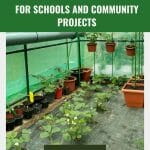 Plants in a greenhouse with text: Greenhouse for schools and community projects
