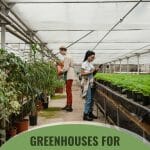 People working in a greenhouse with text: Greenhouse for schools and community projects