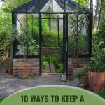 Exterior view of greenhouse with shade cloths with text: 10 Ways to Keep a Cool Greenhouse in the Summer