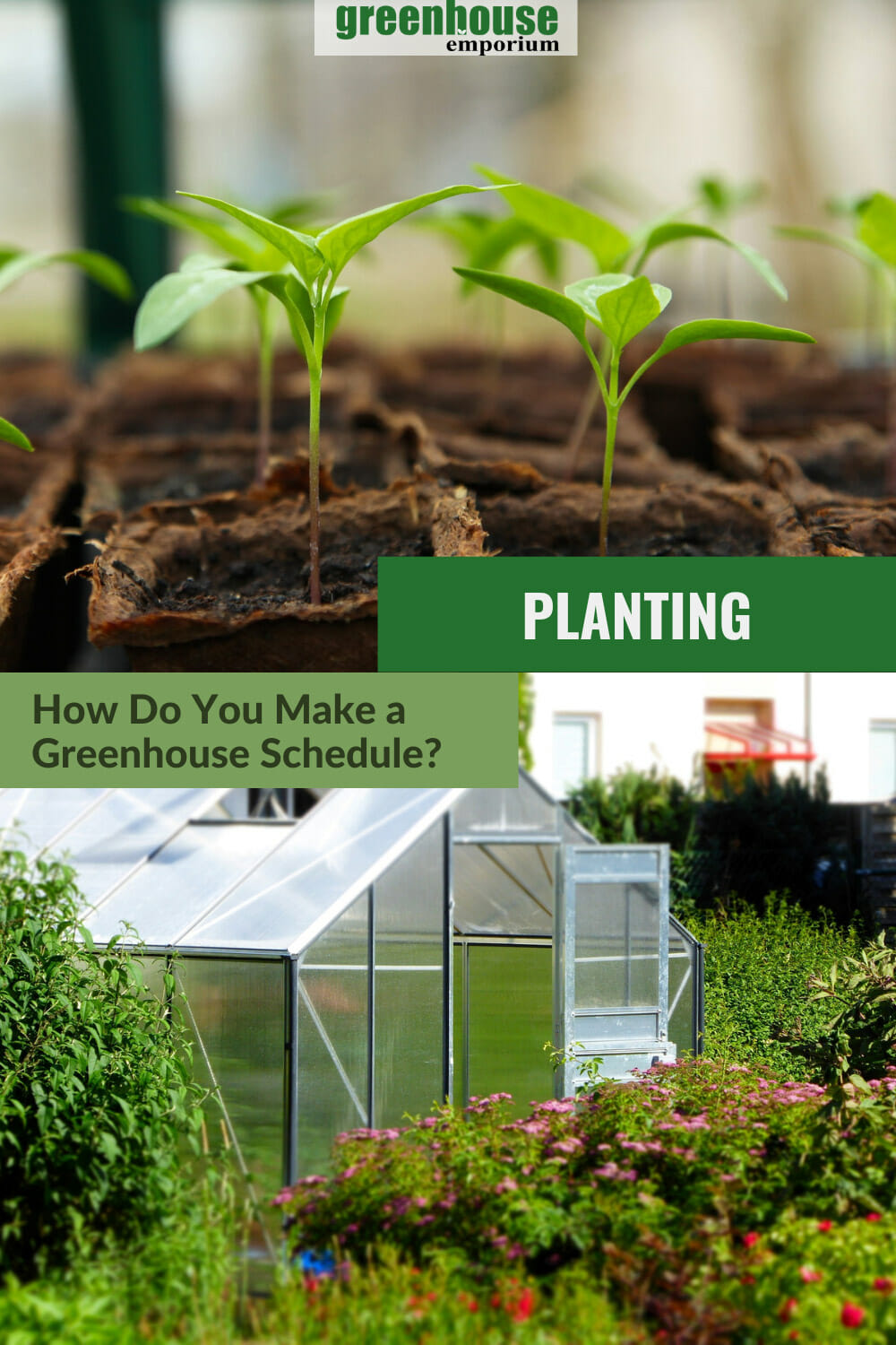 How To Make A Greenhouse Planting Schedule