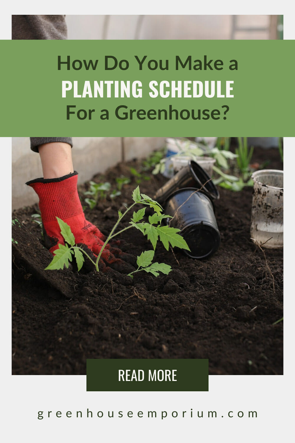 Image of gardener planting in a greenhouse bed with text: How Do You Make a Planting Schedule for a Greenhouse?