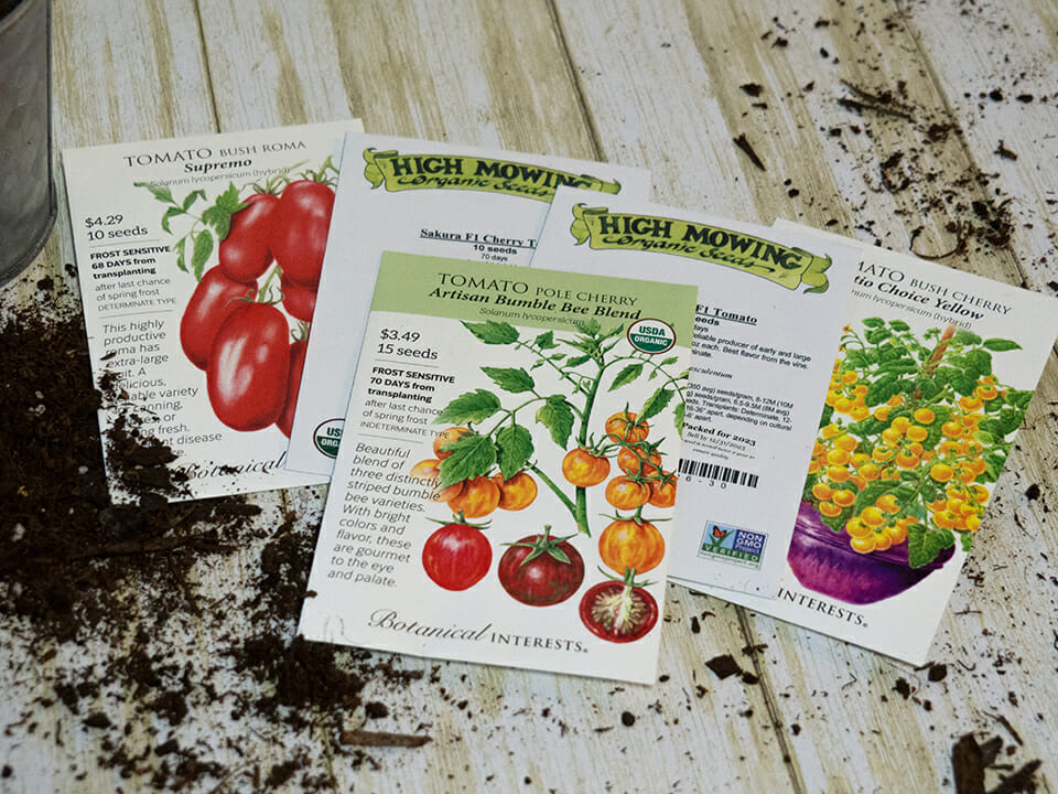 Packets tomato seeds for growing in a greenhouse