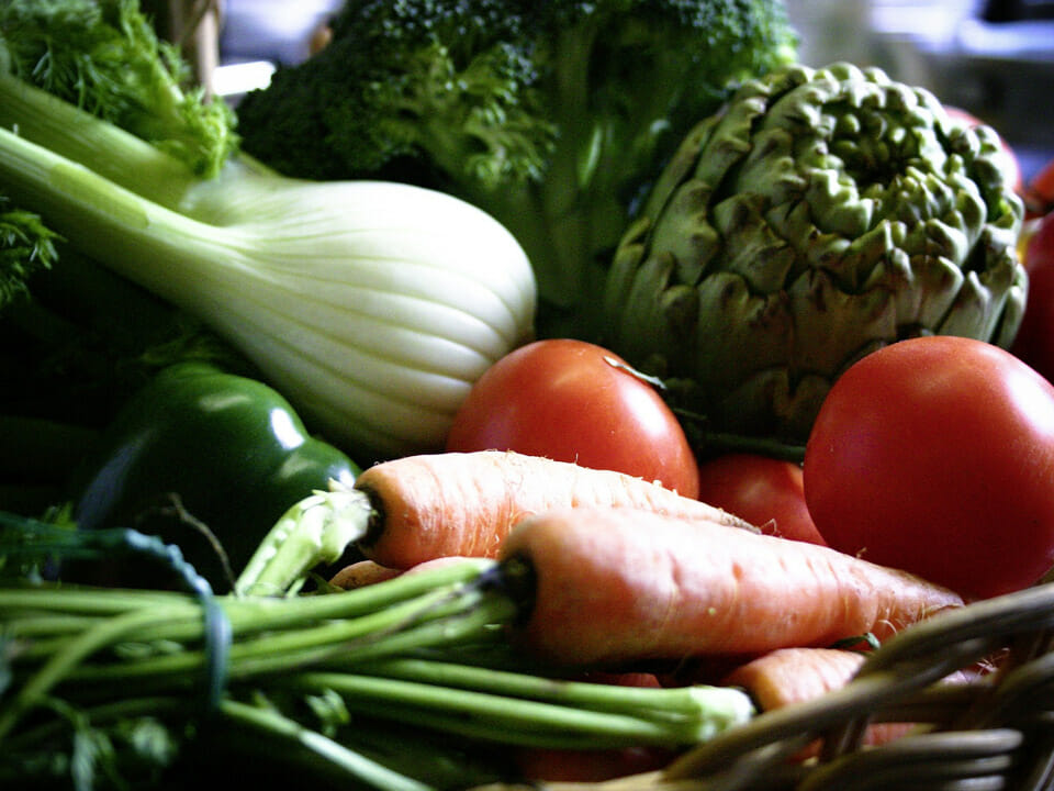 Fennel bulb with other vegetables: artichoke, tomatoes, carrots, green onion, green bell pepper