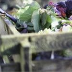Vegetable scraps in composting bin with text: Can you start compost in urban areas?