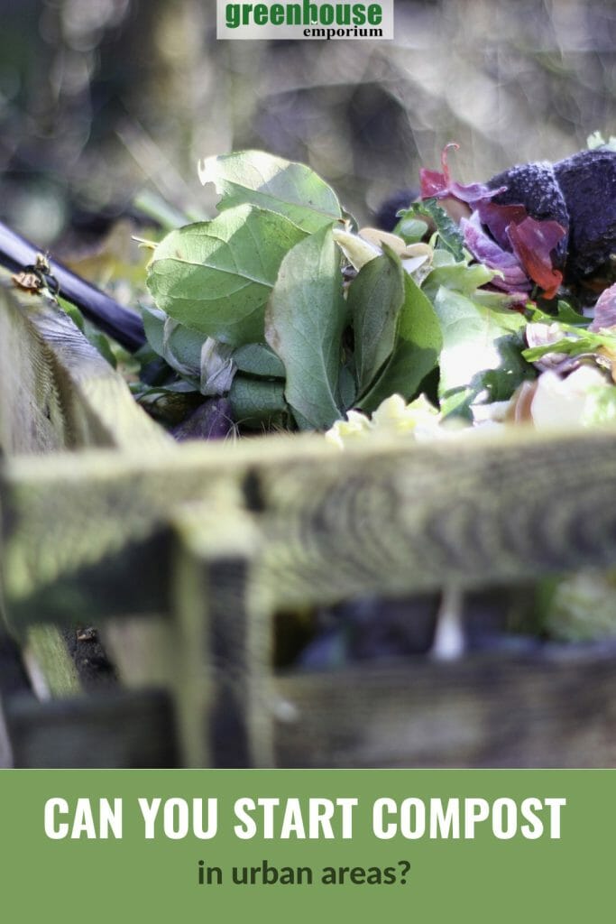 Vegetable scraps in composting bin with text: Can you start compost in urban areas?