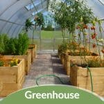 Interior view of greenhouse with planter boxes with text: Greenhouse Gardening For Beginners