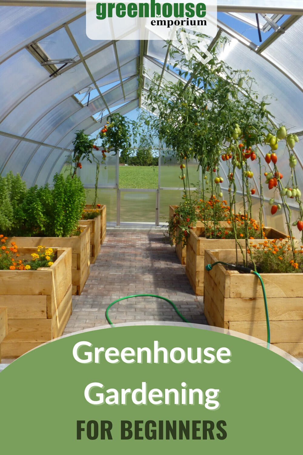 Greenhouse Gardening For Beginners - Where To Start?