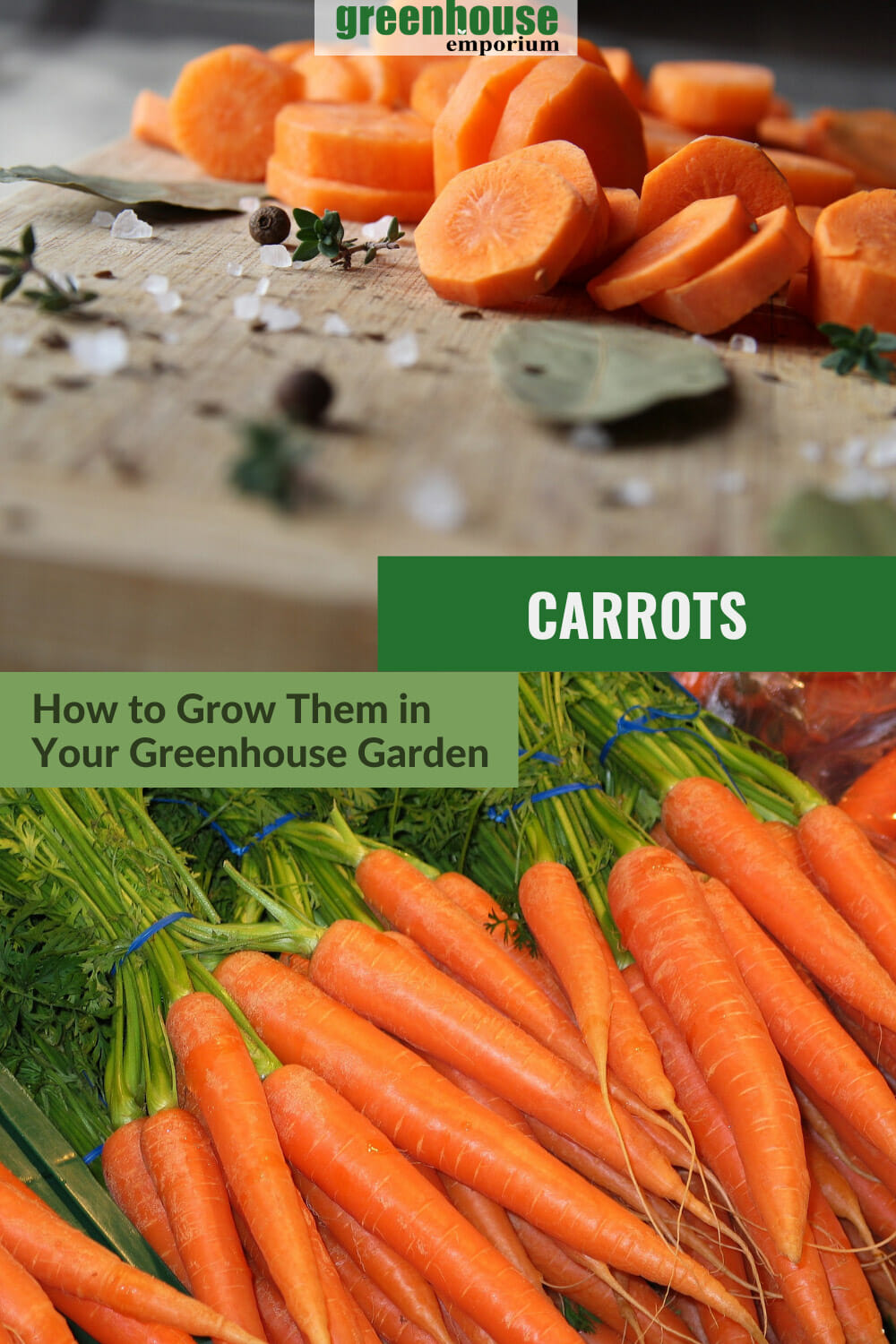 How To Grow Carrots In A Greenhouse | Greenhouse Emporium