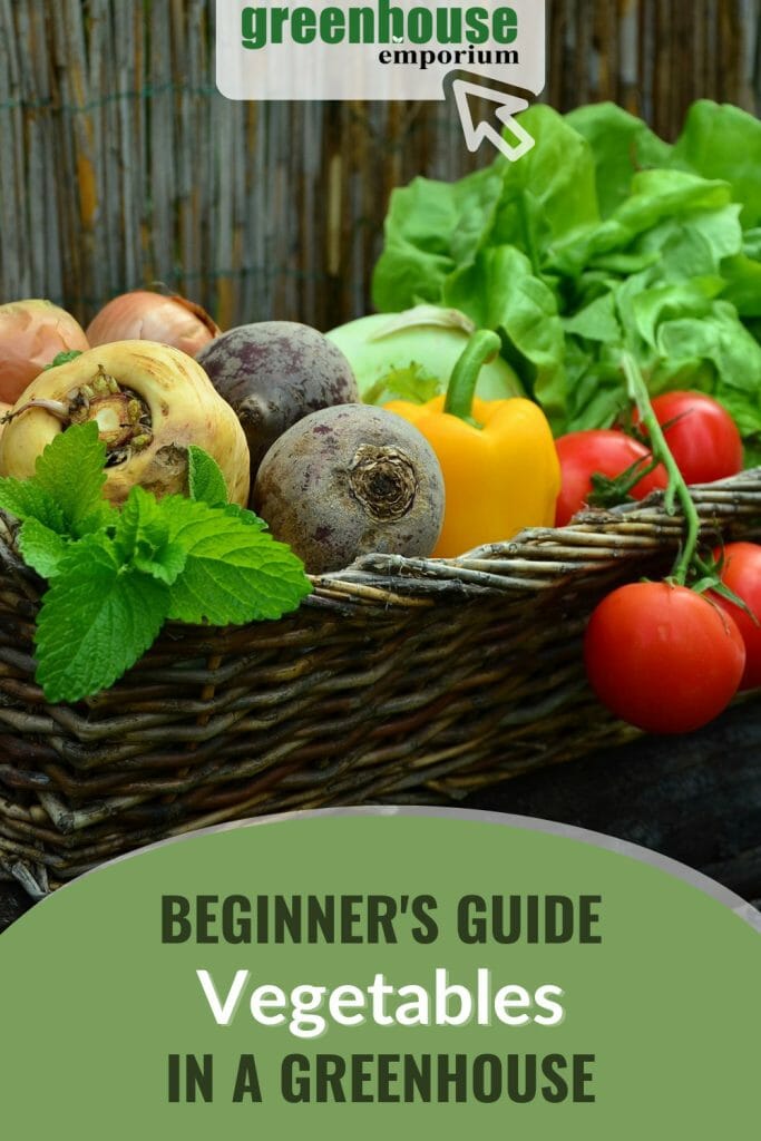 Root and leaf vegetables in a basket with text: Beginner's Guide Vegetables in a Greenhouse