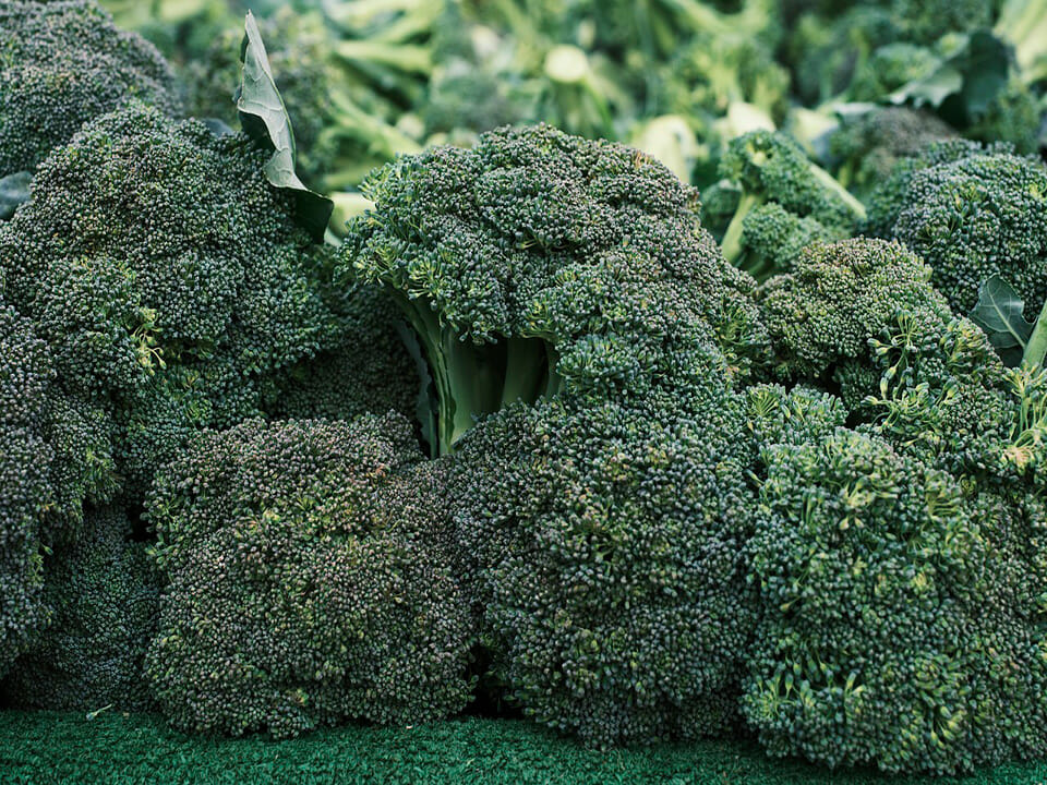 Several florets of broccoli