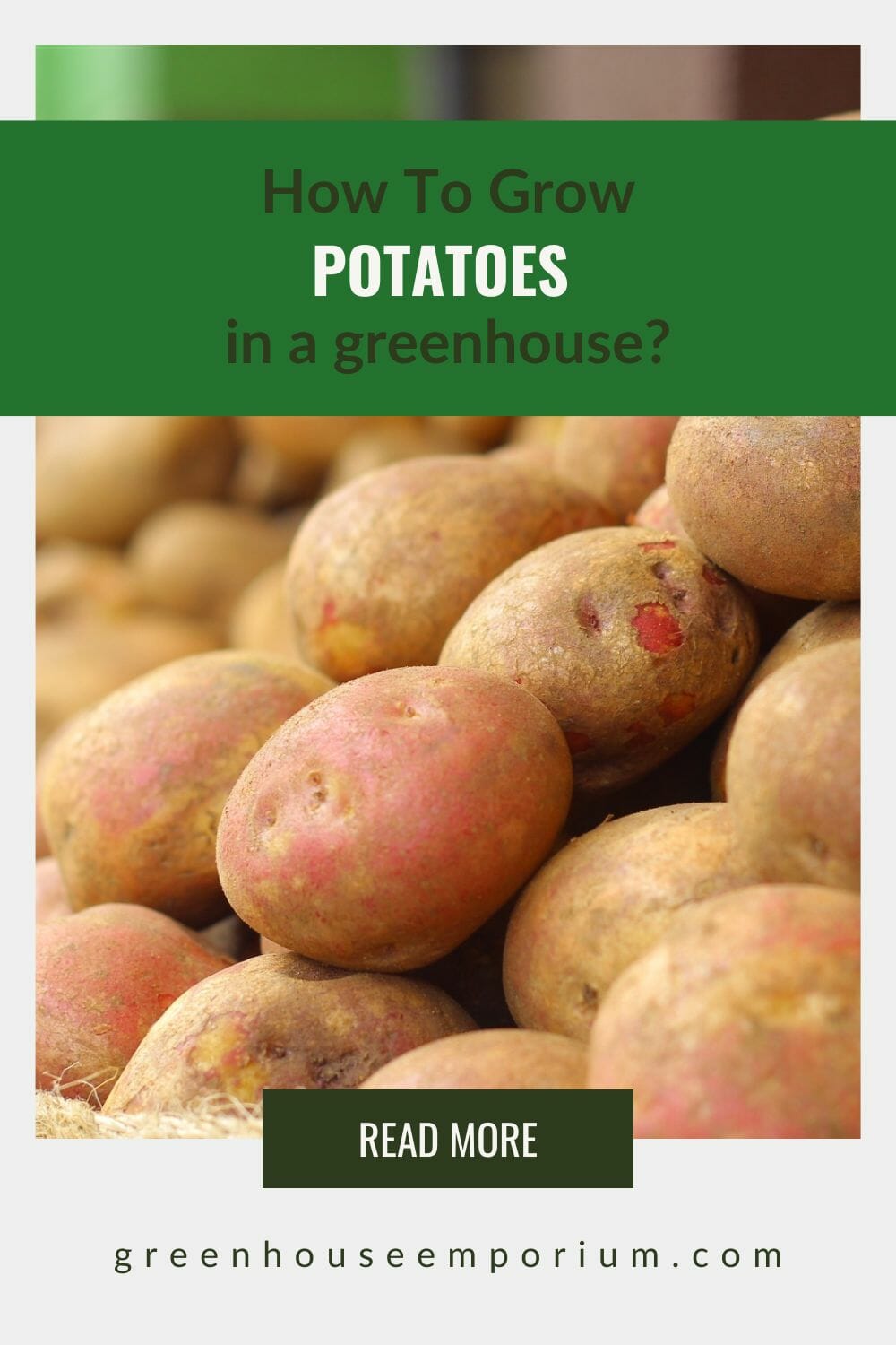 How To Grow Potatoes In A Greenhouse Greenhouse Emporium