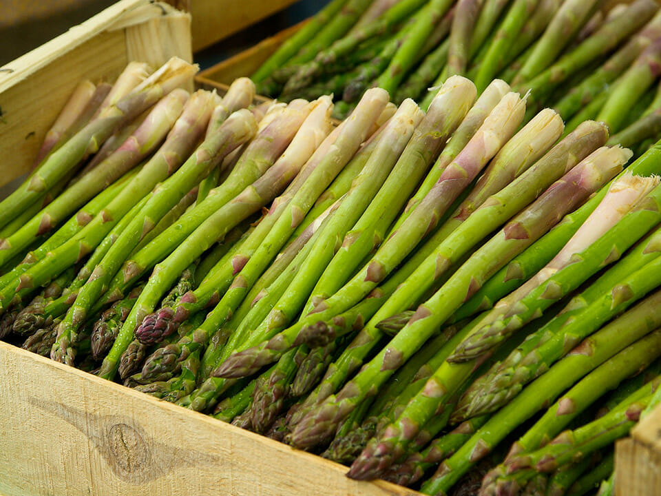 Freshly harvested greenhouse asparagus in a wooden box