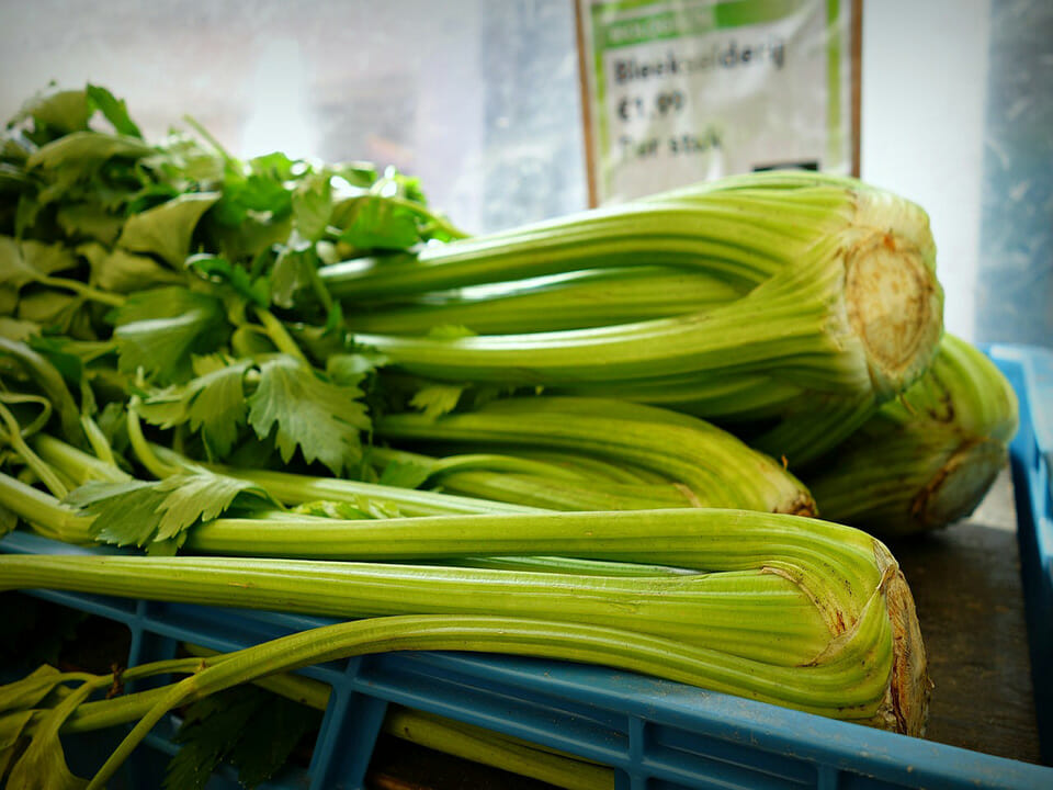 Blue basked with fresh green celery bundles