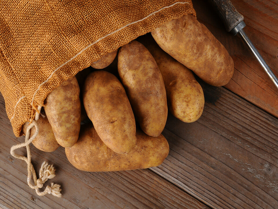 Burlap sack of Burbank Russet potatoes on wooden floor