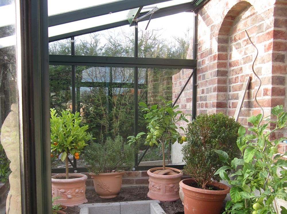 Interior view of a Janssens Arcadia lean-to glass greenhouse on a stem wall