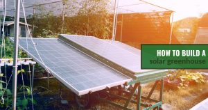 Solar panels in a garden and sun shining on them with the text: How to build a solar greenhouse