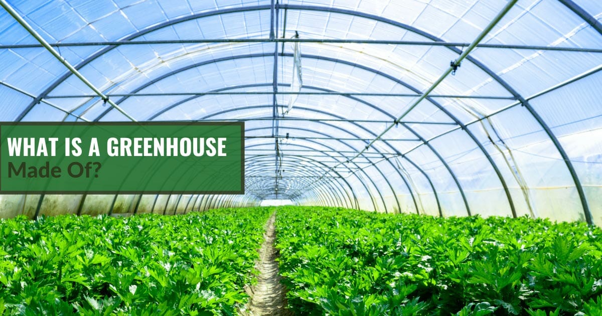 Inside a hoop house greenhouse with plants growing in the ground and the text: What Is A Greenhouse Made Of?