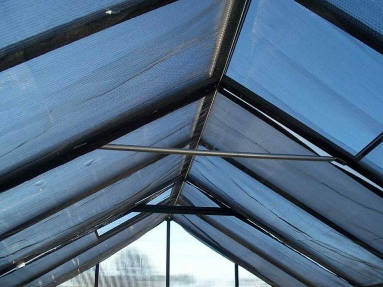 What Direction Should A Greenhouse Face? (Guide & Tips)