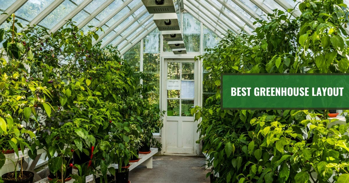Best greenhouse layout