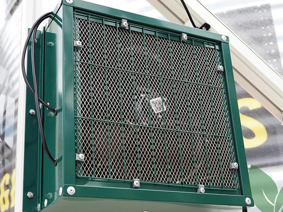 Internal view of exhaust fan with mesh screen
