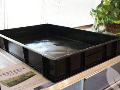 View of empty seed tray on shelf next to plant