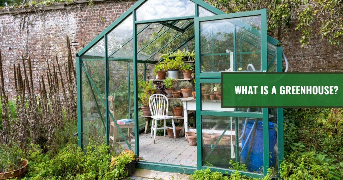 Small greenhouse against a wall in a backyard with the text: What is a greenhouse?