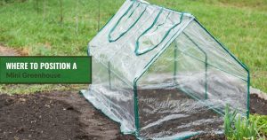 Mini greenhouse on a garden bed with the text: Where to position a mini greenhouse