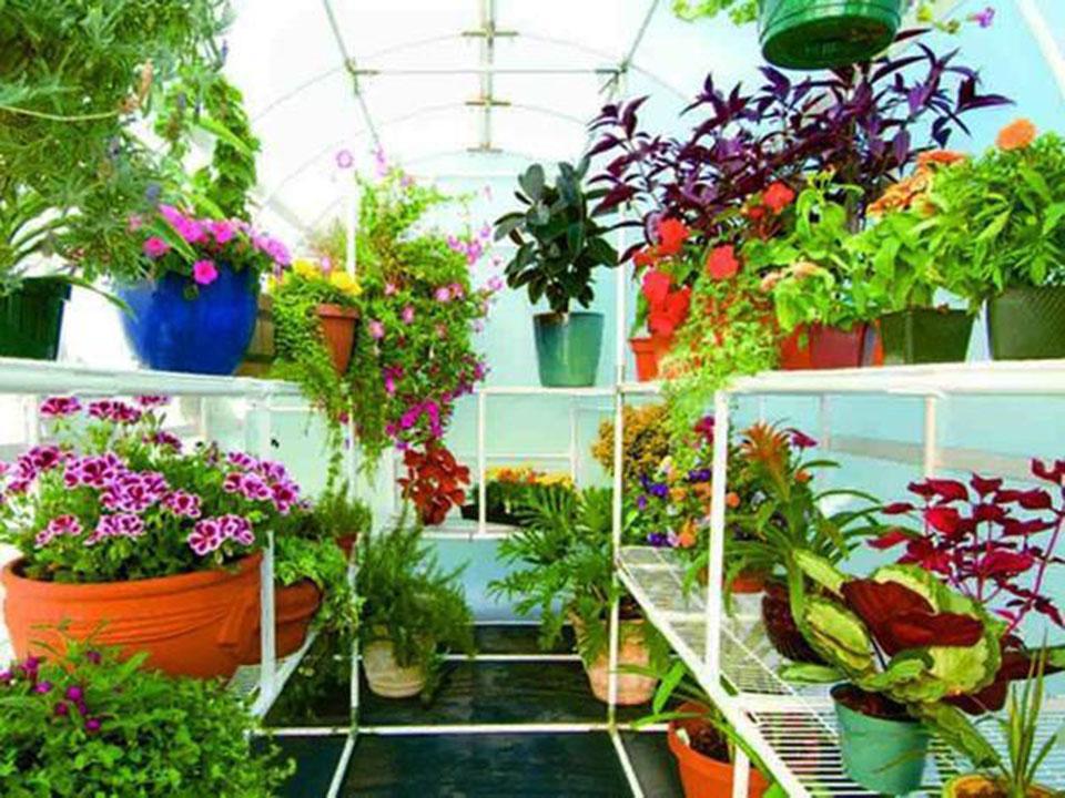 optimal greenhouse layout