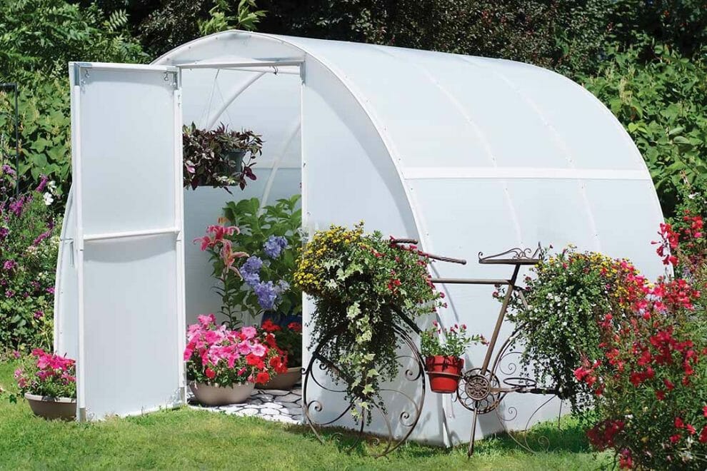 Where To Position A Mini Greenhouse: Orientation Guide