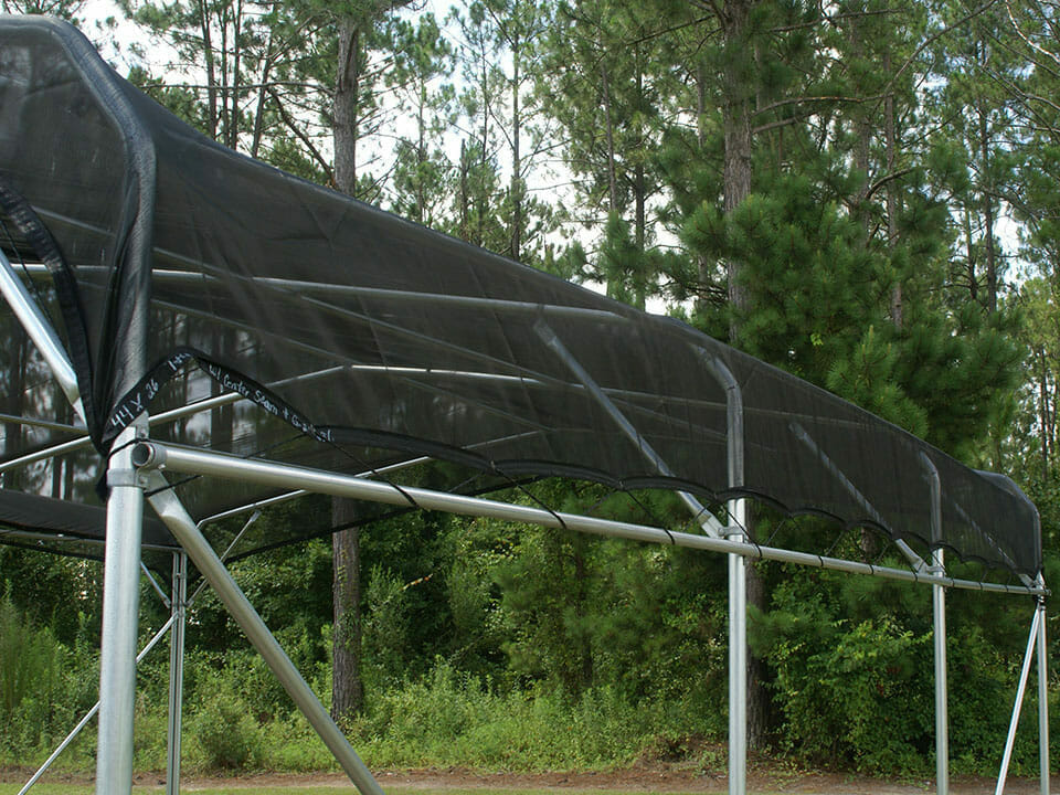 What Percentage Shade Cloth For Greenhouse? (Guide & Tips)