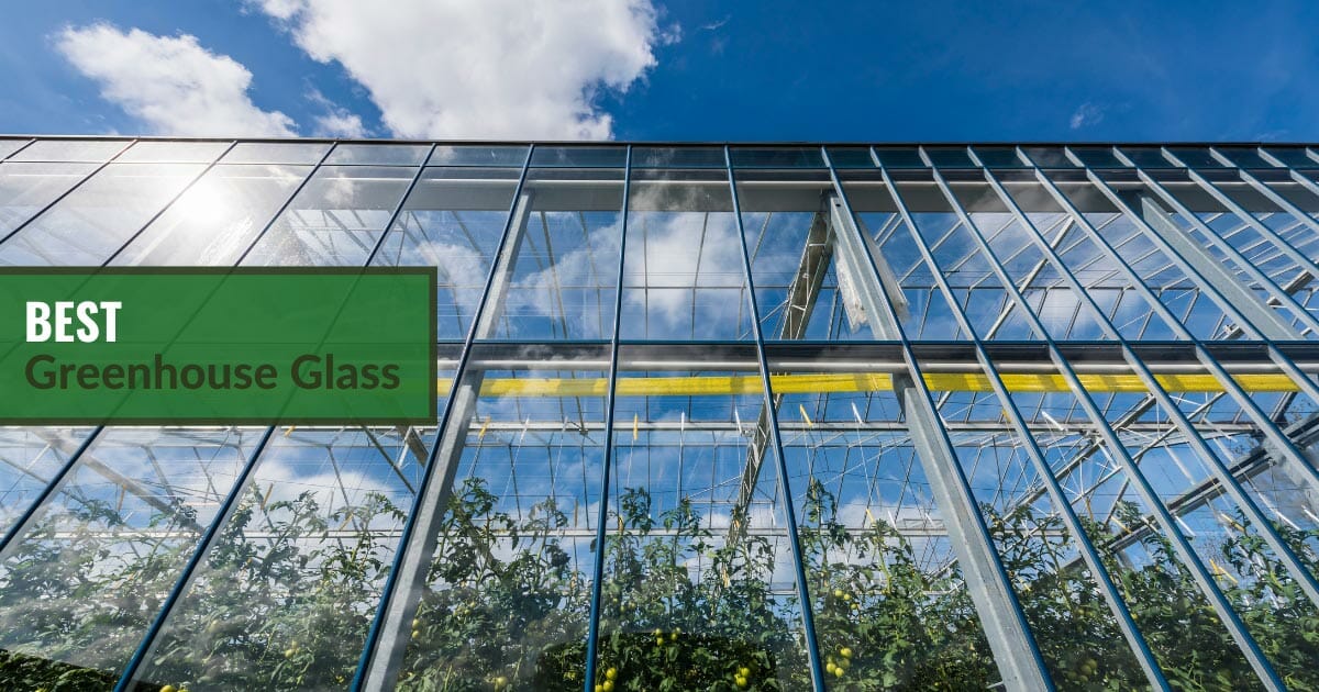 Roof of a large glass greenhouse on a sunny day with the text: Best Greenhouse Glass