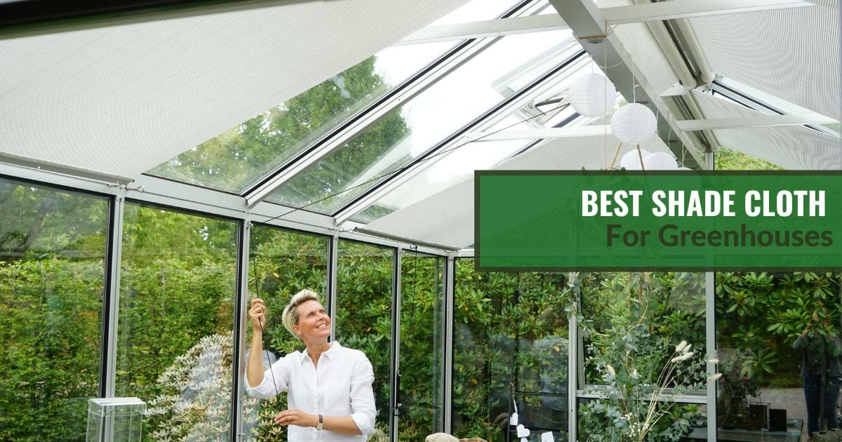 Woman adjusting the shade cloth inside her greenhouse with the text: Best Shade Cloth For Greenhouses