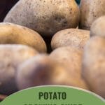 Close up of potatoes with text: Potato Growing Guide Greenhouse Gardening 101