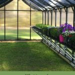 Interior shade cloths on a greenhouse with text: What type of Greenhouse Shade Cloth is better?