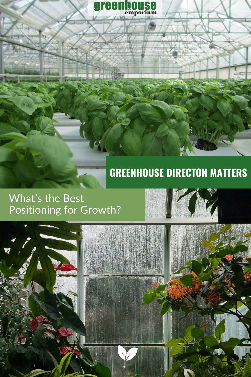 What Direction Should A Greenhouse Face? (Guide & Tips)