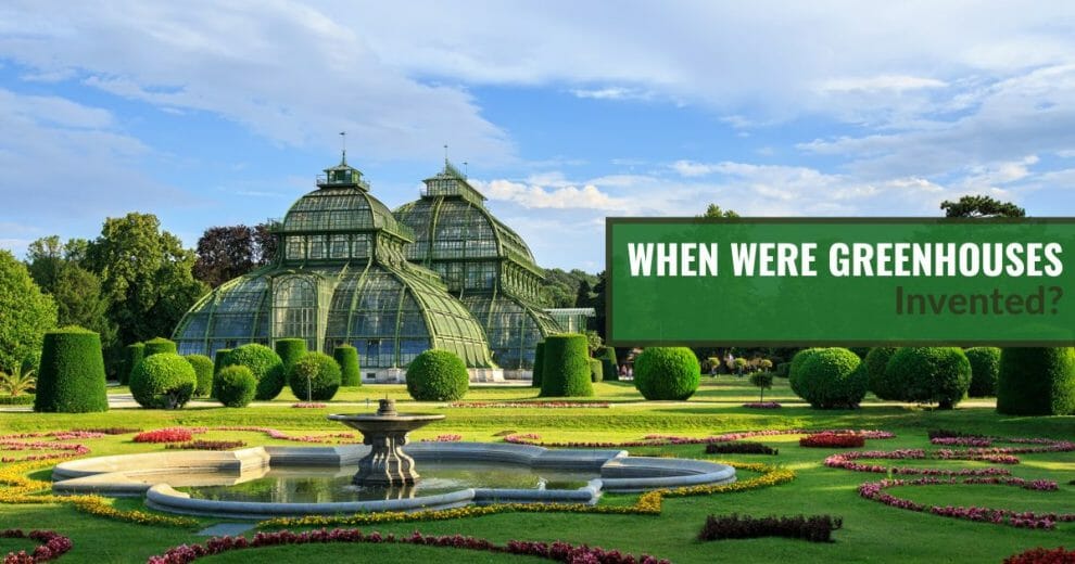 When Were Greenhouses Invented Horticultural History!