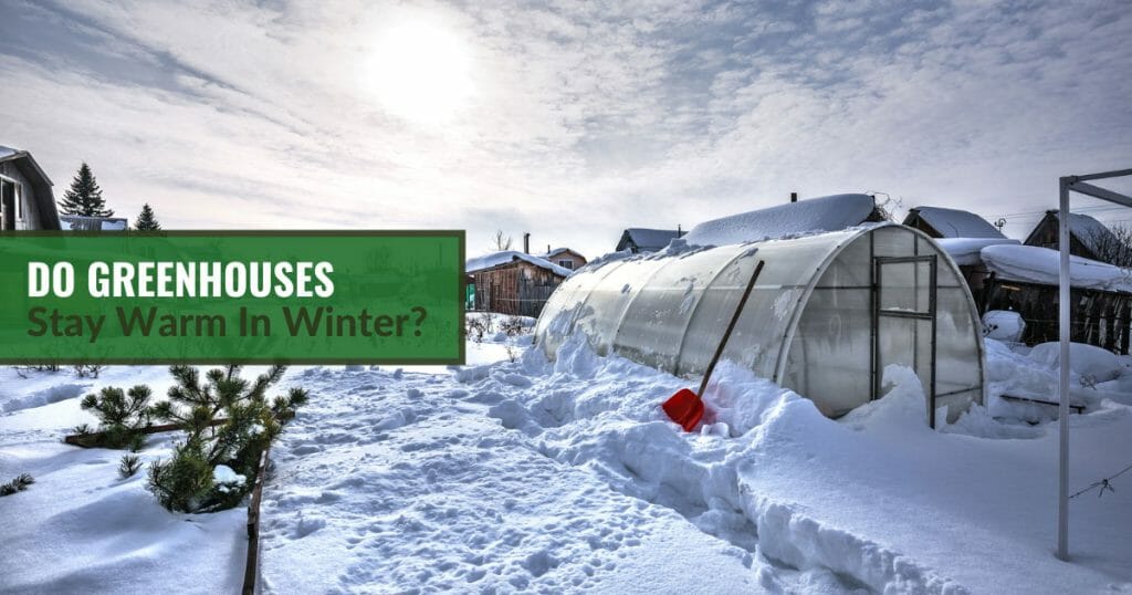Greenhouse surrounded by snow in winter and the text: Do Greenhouses Stay Warm in Winter?