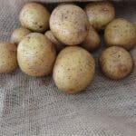 Potatoes on burlap bag with text: Plant, Grow, Harvest Greenhouse Potato Gardening Guide