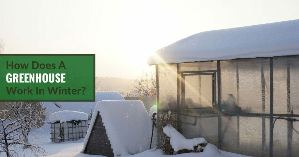 Sun shining on winter greenhouse with snow and the text: How does a g