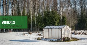 DIY Greenhouse in a backyard in winter with the text: How to winterize a greenhouse