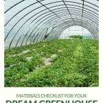 Interior view of greenhouse roofing material with text: Materials Checklist for Your Dream Greenhouse