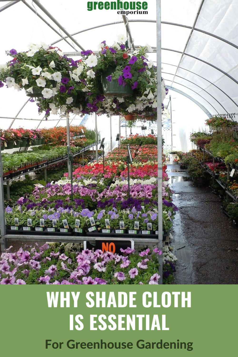 What Percentage Shade Cloth For Greenhouse? (Guide & Tips)