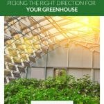 Sun coming into greenhouse roof with text: Sunshine and Seasons Picking the Right Direction for Your Greenhouse