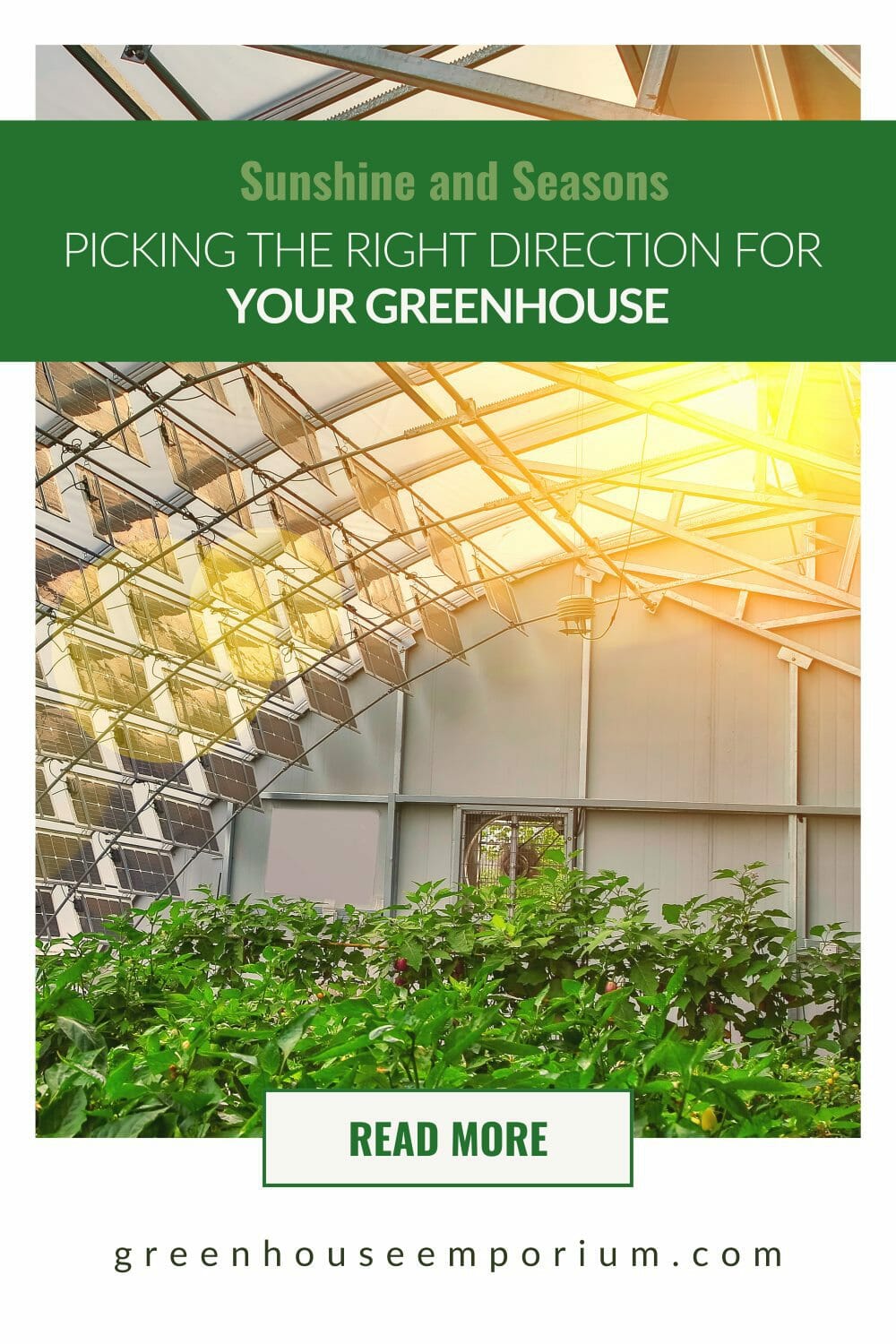 What Direction Should A Greenhouse Face? (Guide & Tips)