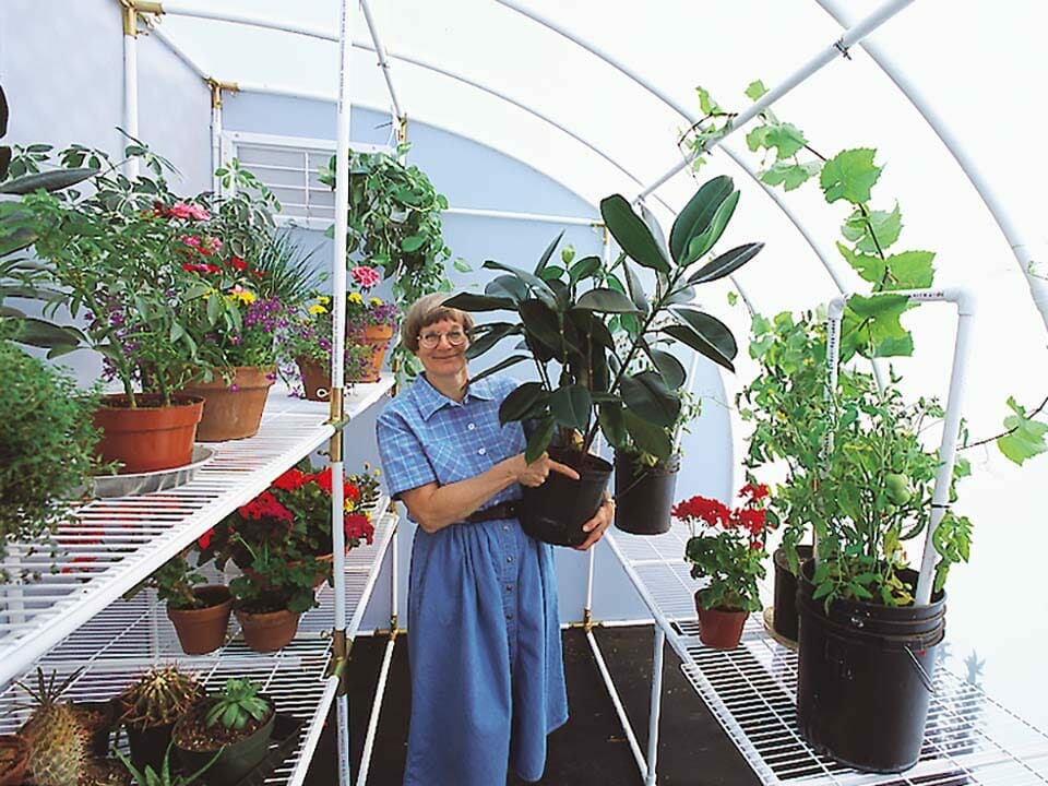 free greenhouse heat