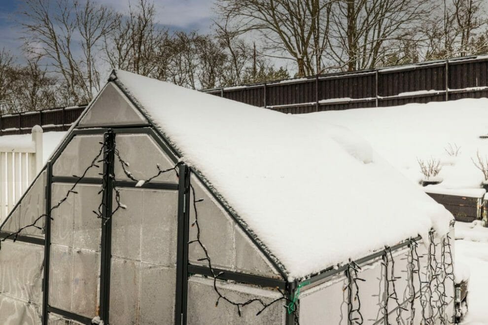 how-to-build-a-greenhouse-for-winter-frost-free-paradise